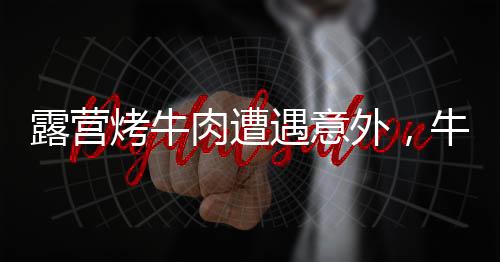 露營烤牛肉遭遇意外，牛肉被牛吃光事件紀實