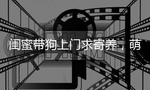 閨蜜帶狗上門(mén)求寄養(yǎng)，萌寵嫻熟融入新家