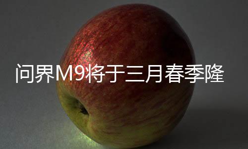 問界M9將于三月春季隆重上市，豪華轎車的新標(biāo)桿（一二三四五六七八九十）
