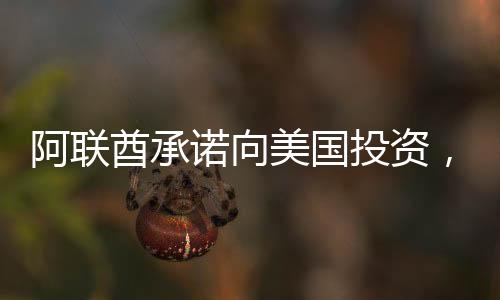 阿聯(lián)酋承諾向美國投資，全球投資新動(dòng)向