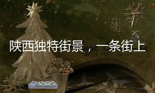 陜西獨特街景，一條街上排開22家理發(fā)店，形成行業(yè)風景線的奧秘探尋
