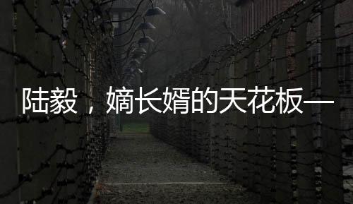 陸毅，嫡長婿的天花板——深度探究其獨特魅力