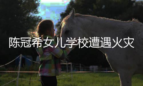 陳冠希女兒學校遭遇火災，呼吁捐款卻遭遇冷遇