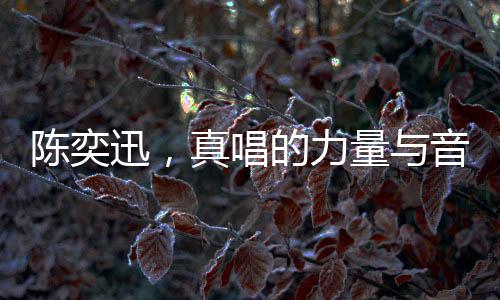 陳奕迅，真唱的力量與音樂的震撼