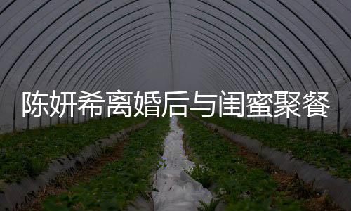 陳妍希離婚后與閨蜜聚餐狀態(tài)良好，積極面對生活的新篇章