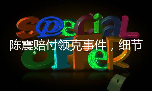 陳震賠付領克事件，細節(jié)揭秘與深度解讀