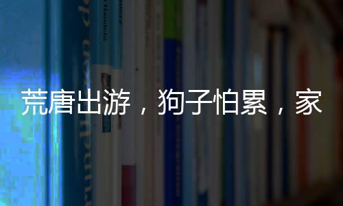 荒唐出游，狗子怕累，家人用棍子抬著旅行