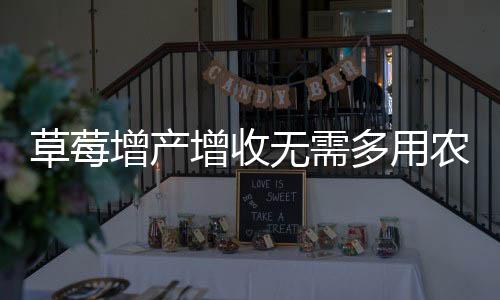 草莓增產(chǎn)增收無需多用農(nóng)藥，真相揭秘