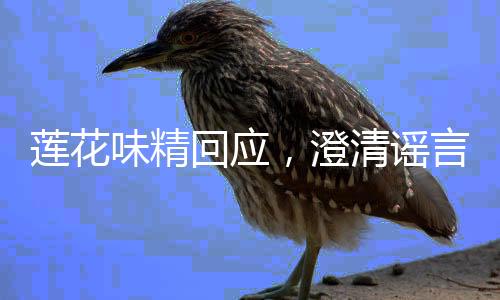 蓮花味精回應(yīng)，澄清謠言，正名行業(yè)先鋒地位 —— 全面解析事件進(jìn)展