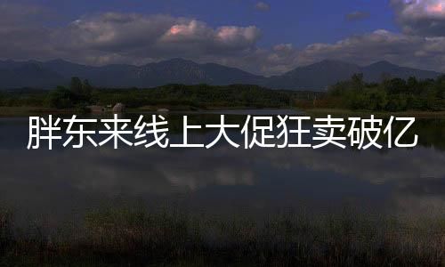 胖東來線上大促狂賣破億，一日銷售額突破驚人的1.3億