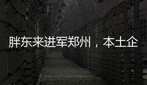 胖東來進軍鄭州，本土企業(yè)拓展新篇章