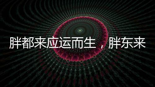 胖都來應(yīng)運(yùn)而生，胖東來品牌積極回應(yīng)市場新動向