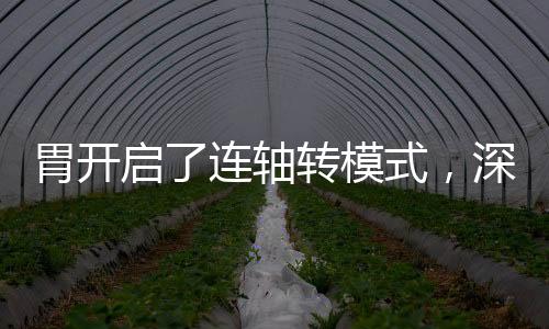 胃開(kāi)啟了連軸轉(zhuǎn)模式，深度解析人體消化新變化