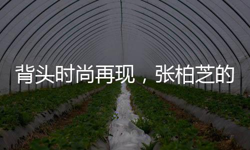 背頭時尚再現(xiàn)，張柏芝的魅力風(fēng)采