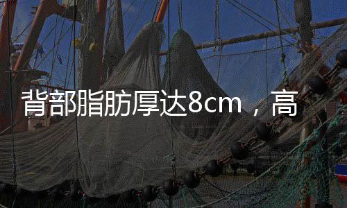 背部脂肪厚達(dá)8cm，高危孕婦成功產(chǎn)子，一次關(guān)于生命奇跡的奇跡報(bào)道
