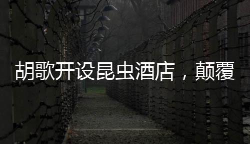 胡歌開設(shè)昆蟲酒店，顛覆傳統(tǒng)，倡導(dǎo)環(huán)保新概念