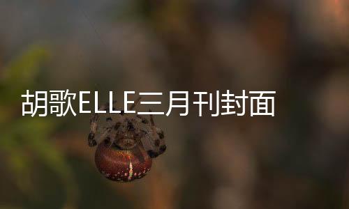 胡歌ELLE三月刊封面，時(shí)尚魅力與演技實(shí)力的完美融合