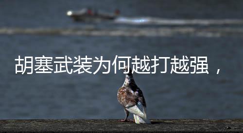 胡塞武裝為何越打越強，深度解析其背后的原因