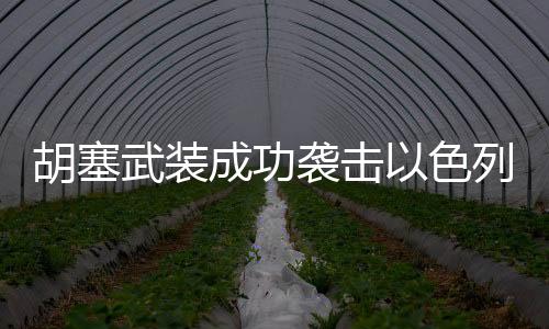 胡塞武裝成功襲擊以色列軍事目標，一場備受關(guān)注的軍事行動分析