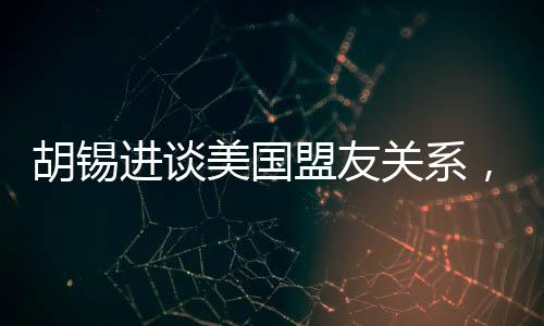 胡錫進(jìn)談美國盟友關(guān)系，做美國盟友真悲慘