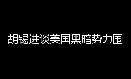 胡錫進談美國黑暗勢力圍剿DeepSeek，揭示背后的真相與挑戰(zhàn)