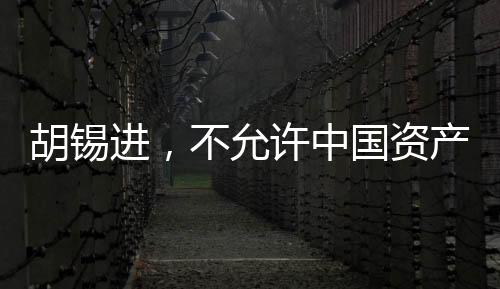胡錫進(jìn)，不允許中國資產(chǎn)被肆意侵占