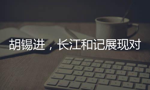 胡錫進，長江和記展現(xiàn)對祖國信心的堅定力量