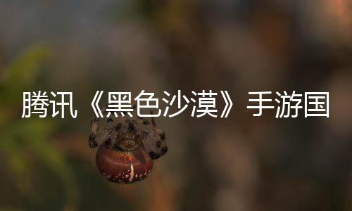 騰訊《黑色沙漠》手游國服今日停運(yùn)：運(yùn)營不到3年