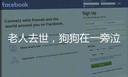 老人去世，狗狗在一旁泣不成聲，忠誠與哀傷的見證