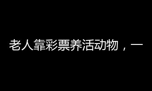 老人靠彩票養(yǎng)活動(dòng)物，一份熱愛與堅(jiān)持的故事