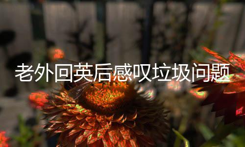 老外回英后感嘆垃圾問(wèn)題頻發(fā)，懷念中國(guó)整潔環(huán)境