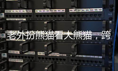 老外扮熊貓看大熊貓，跨越文化的奇特體驗