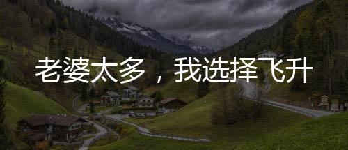 老婆太多，我選擇飛升