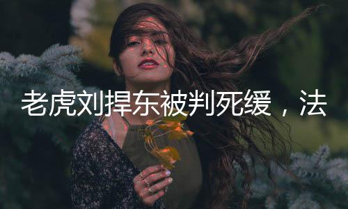 老虎劉捍東被判死緩，法律公正與社會(huì)反響