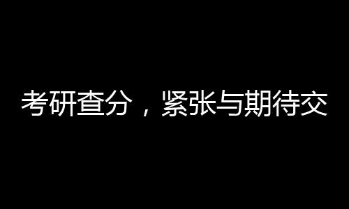考研查分，緊張與期待交織的時(shí)刻