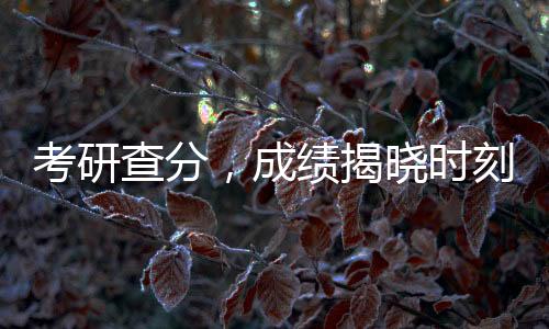考研查分，成績揭曉時刻的焦慮與期待