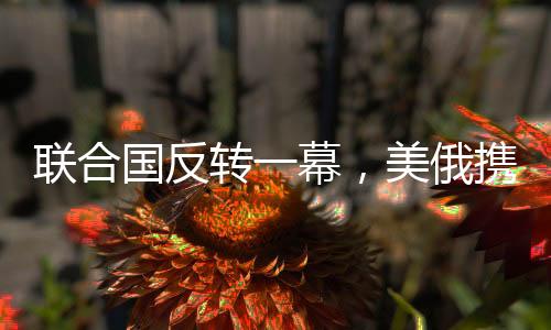 聯(lián)合國(guó)反轉(zhuǎn)一幕，美俄攜手反對(duì)烏提案