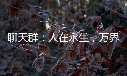 聊天群：人在永生，萬(wàn)界飼養(yǎng)場(chǎng)