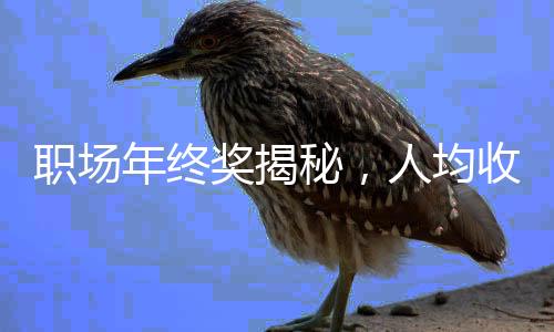 職場(chǎng)年終獎(jiǎng)揭秘，人均收獲6091元，一線員工、白領(lǐng)有何所獲？且看詳細(xì)分析。