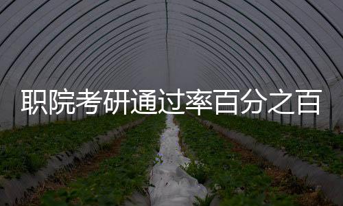 職院考研通過(guò)率百分之百，一所學(xué)院的輝煌成就與獨(dú)特路徑