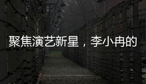 聚焦演藝新星，李小冉的戲劇與歌唱之路——我另有人選
