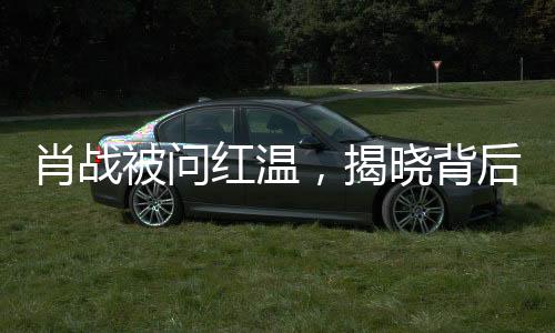 肖戰(zhàn)被問(wèn)紅溫，揭曉背后真相，一夜熱議事件的全方位解讀