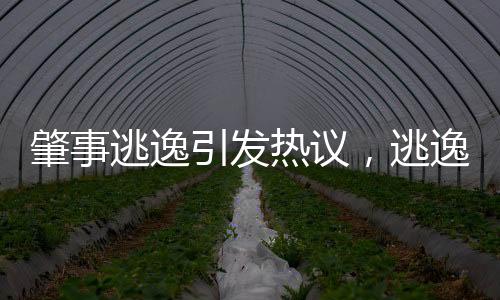 肇事逃逸引發(fā)熱議，逃逸者駕駛貓車輛難以置信