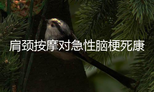 肩頸按摩對急性腦梗死康復(fù)的重要影響