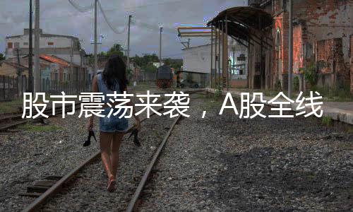 股市震蕩來(lái)襲，A股全線大跌，創(chuàng)業(yè)板指跌近四成深度解析