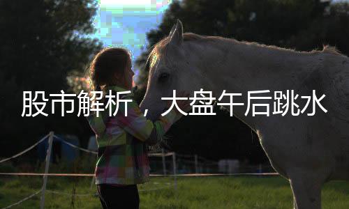 股市解析，大盤午后跳水是否意味短線調(diào)整？一篇全面的市場(chǎng)觀察