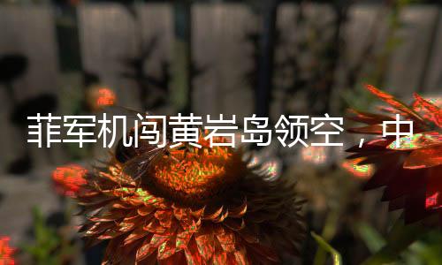 菲軍機(jī)闖黃巖島領(lǐng)空，中方警告驅(qū)離，事件深度解讀