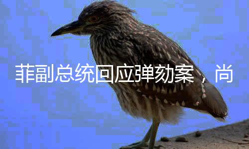 菲副總統(tǒng)回應(yīng)彈劾案，尚未考慮辭職