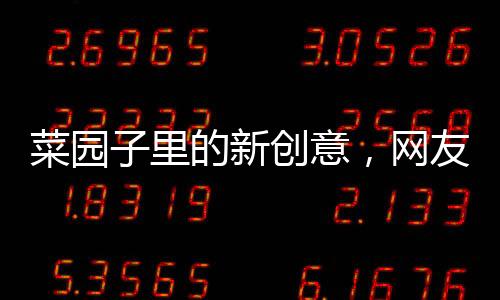 菜園子里的新創(chuàng)意，網(wǎng)友設(shè)專用通道養(yǎng)雞新模式