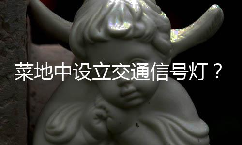 菜地中設立交通信號燈？社區(qū)回應